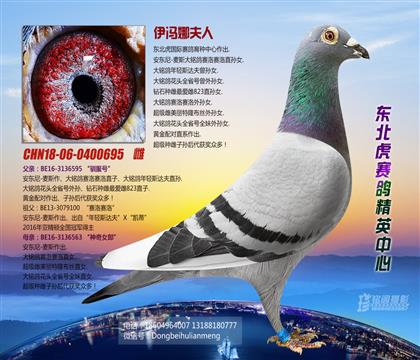 母亲