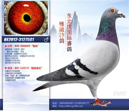 父亲