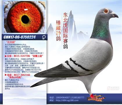 母亲