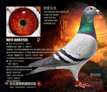 母亲