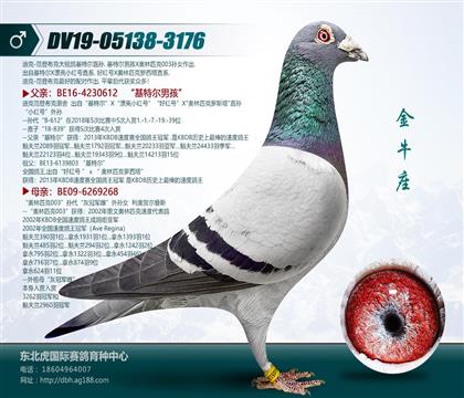 父亲