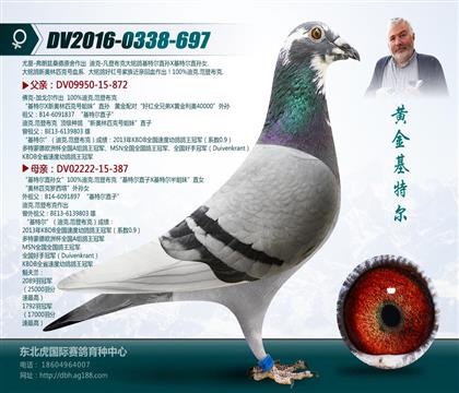 母亲