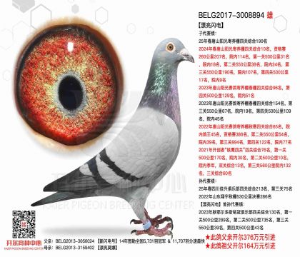 2父亲-3008894