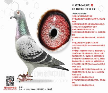 2父亲-8413073