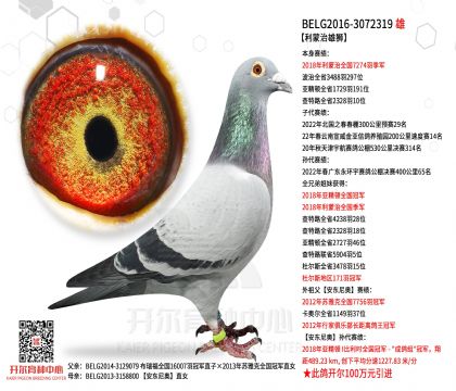 2父亲-3072319