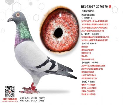 2父亲-3070179