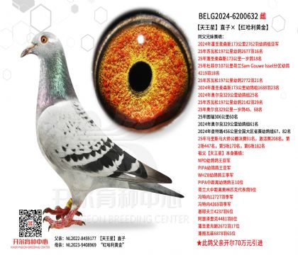 3母亲-6200632