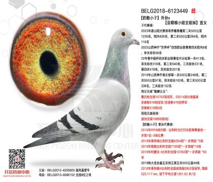 3母亲-6123449