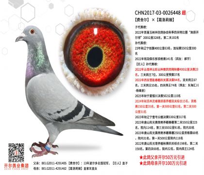 3母亲-0026448