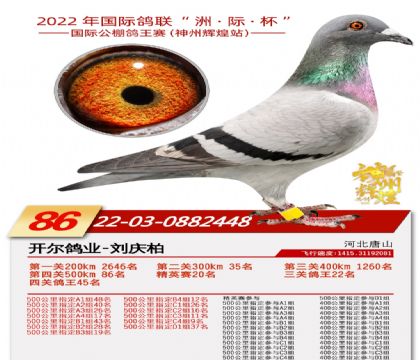3母亲-0882448