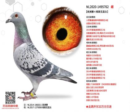 3母亲-1495762