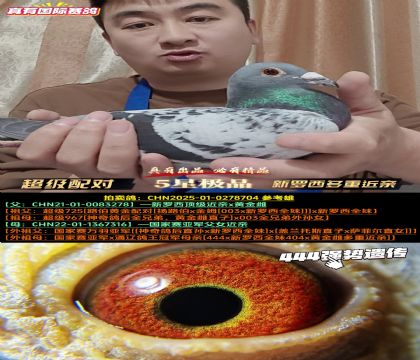 《超级配对》新罗西多重近亲