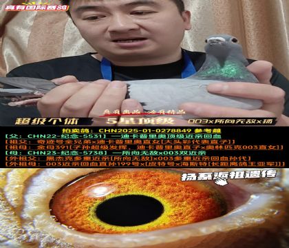《超级个体》003x所向无敌x鸽王扬