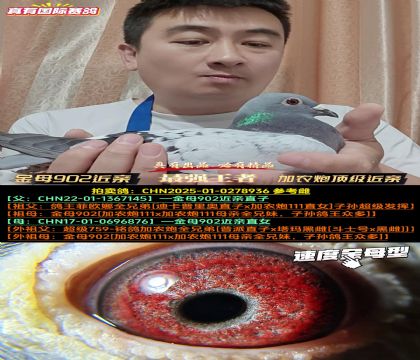 《绝版加农炮近亲》加农炮顶级近亲