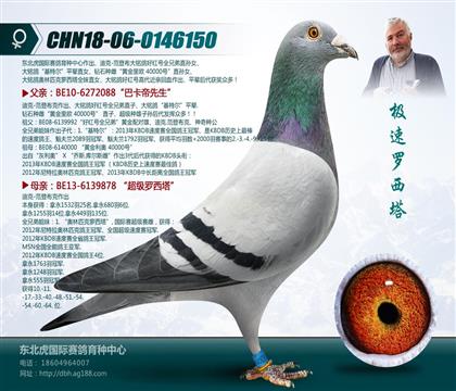 母亲