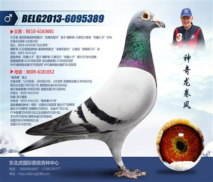 父亲