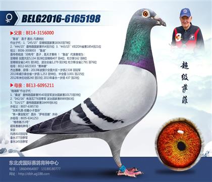 母亲