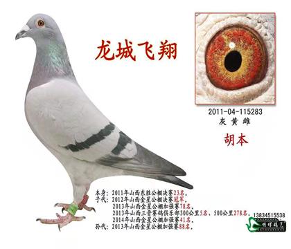 祖母