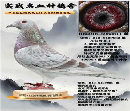 母亲