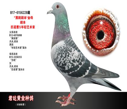 父母图