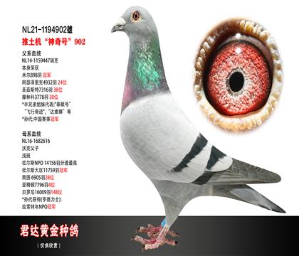 父母图