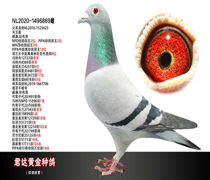 父母图