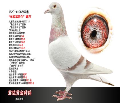 父母图