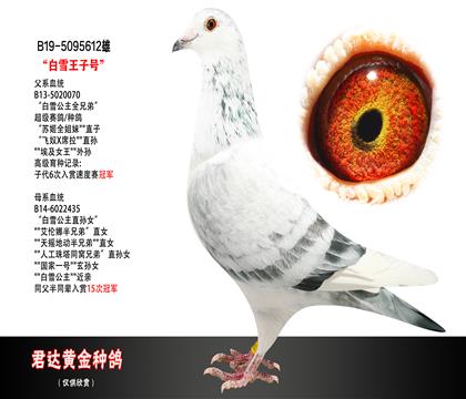 父母图