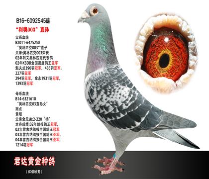 父母图
