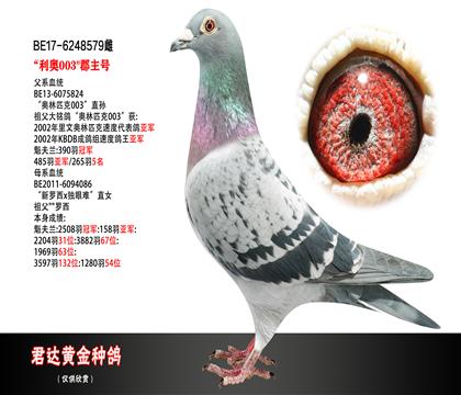 父母图