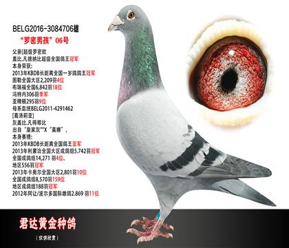 父母图