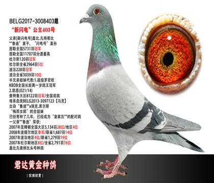 父母图
