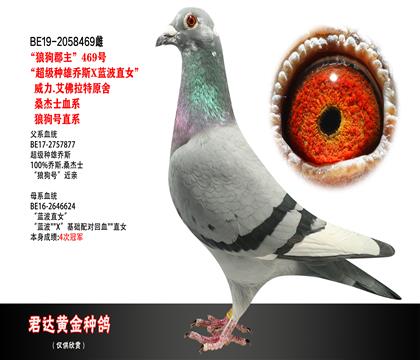 父母图