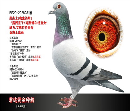 父母图