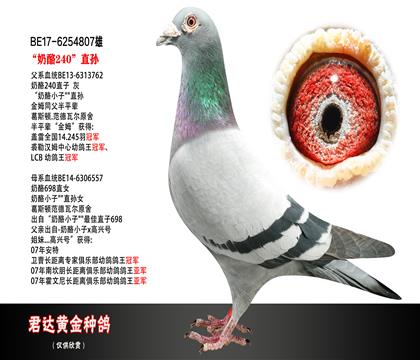 父母图