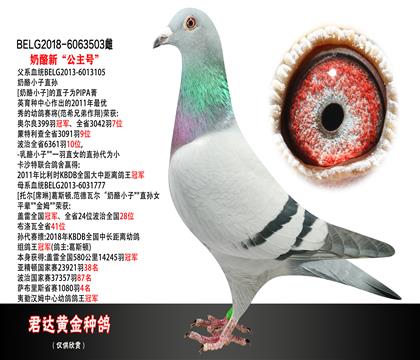 父母图