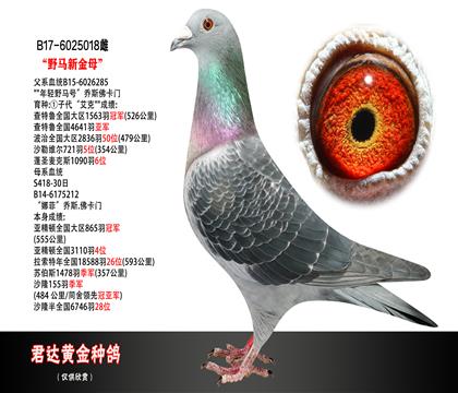 父母图