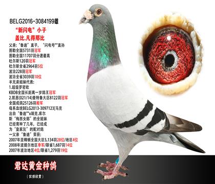 父母图