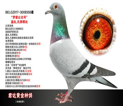 父母图