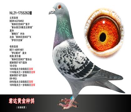 父母图