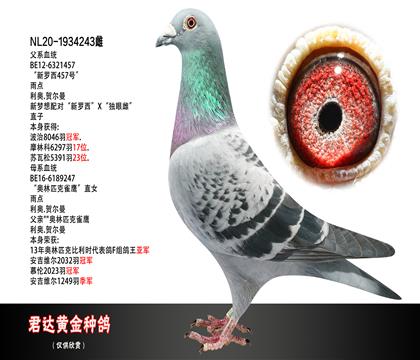 父母图