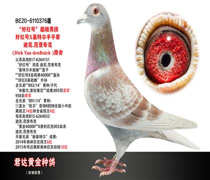 父母图