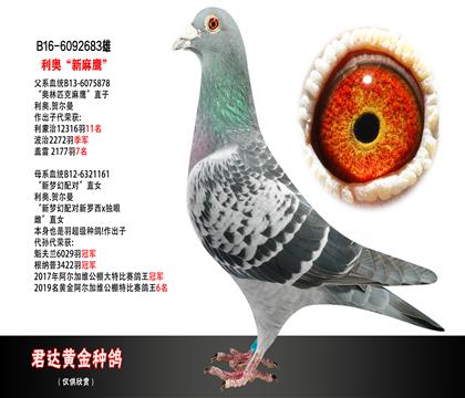 父母图