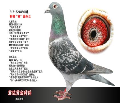 父母图