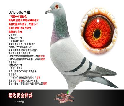 父母图