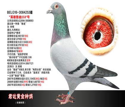 父母图