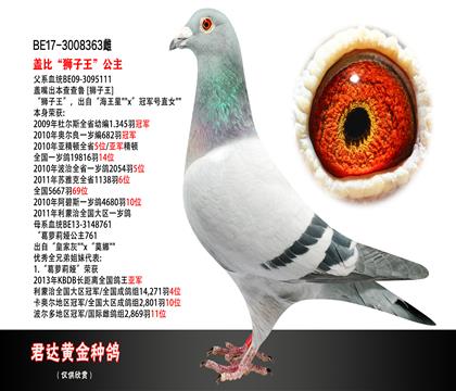 父母图