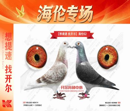“想提速 找开尔”海伦02