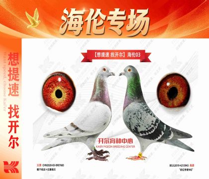 “想提速 找开尔”海伦03