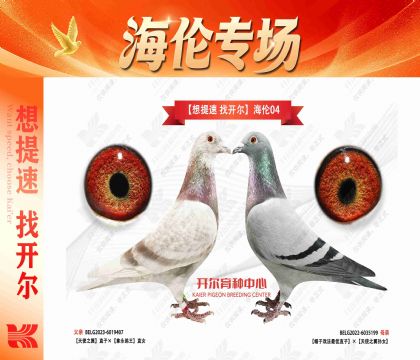 “想提速 找开尔”海伦04